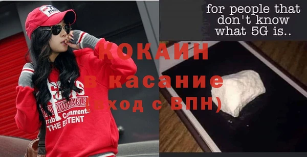 сатива Бородино