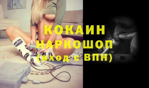 сатива Бородино