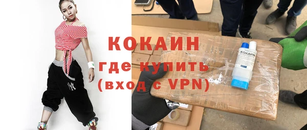 сатива Бородино