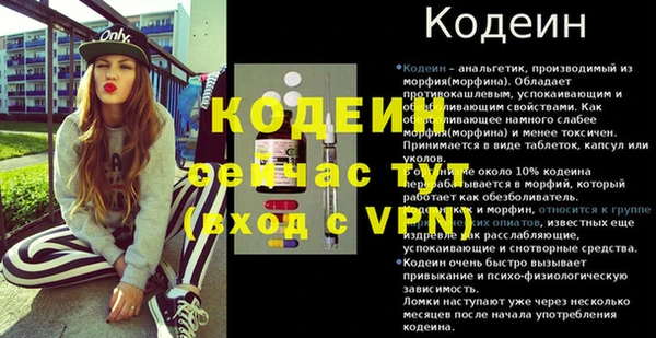 сатива Бородино