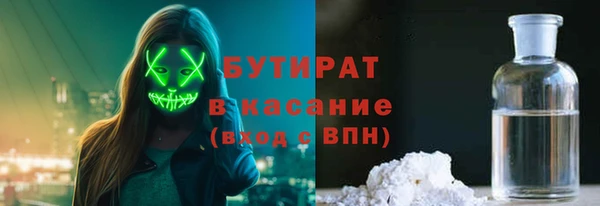 сатива Бородино
