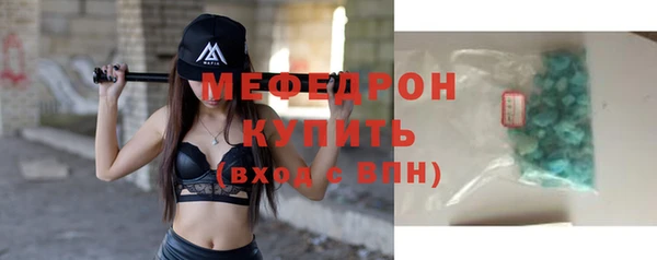 сатива Бородино