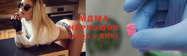 сатива Бородино