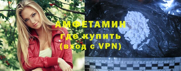 сатива Бородино