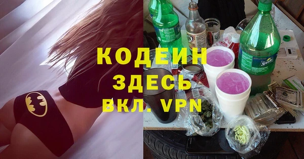 сатива Бородино