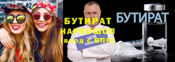 сатива Бородино