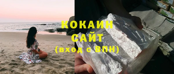 сатива Бородино
